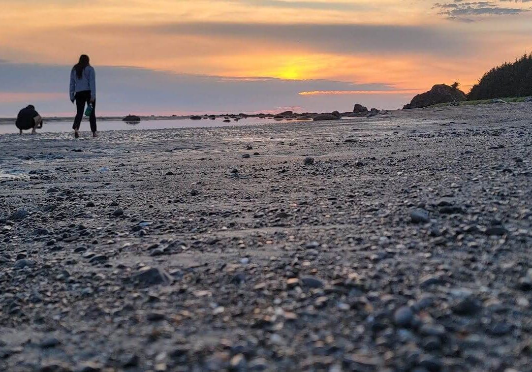 Sunset beach walk with people and dogs.