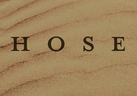CHOSEN text on textured sand ripples