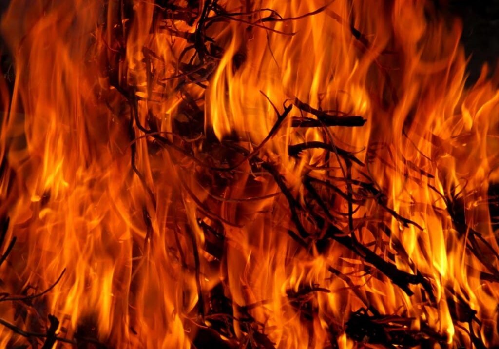 Blazing orange flames engulfing dry branches